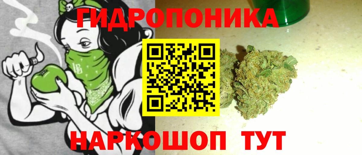 Бошки марихуана конопля Верхняя Пышма